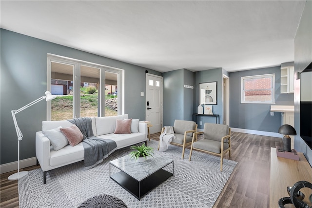 living room featuring wood-type flooring