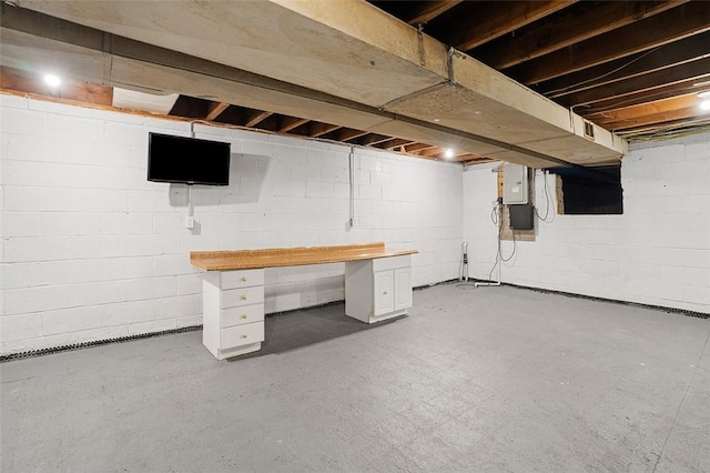 basement with electric panel