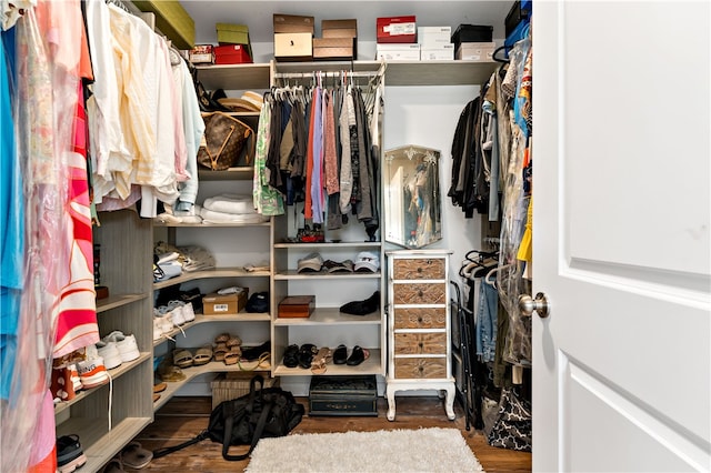 spacious closet with hardwood / wood-style floors