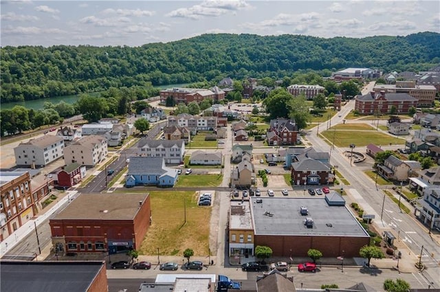 bird's eye view