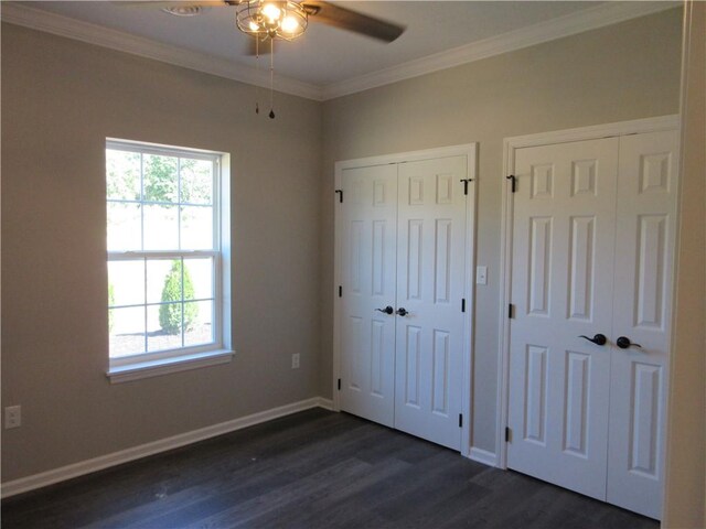 unfurnished bedroom with two closets, ceiling fan, dark hardwood / wood-style flooring, and ornamental molding