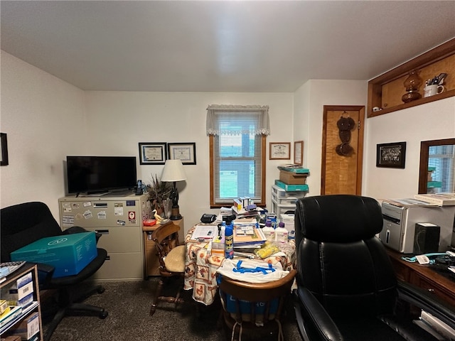 view of carpeted home office