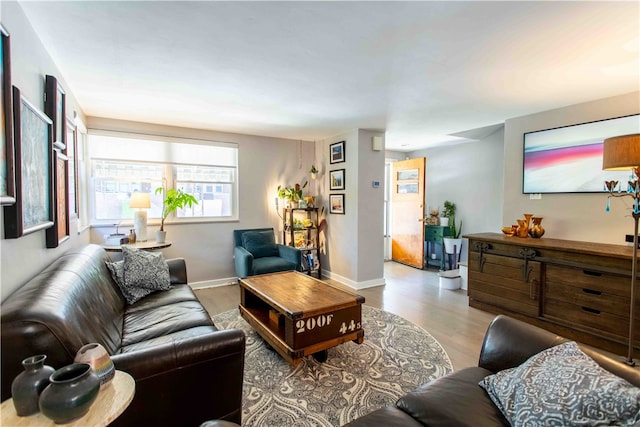 living room with hardwood / wood-style flooring