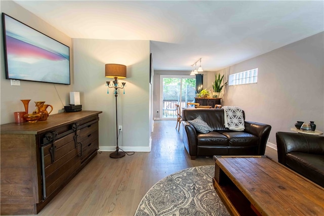 living room featuring wood-type flooring