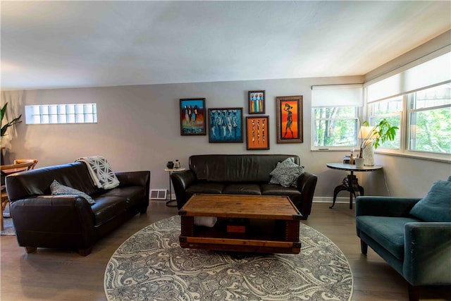 living room featuring hardwood / wood-style flooring