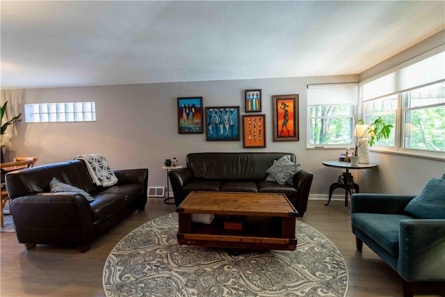 living room featuring a healthy amount of sunlight and hardwood / wood-style floors