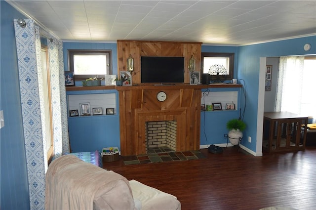 living room featuring plenty of natural light, a fireplace, ornamental molding, and dark wood-type flooring