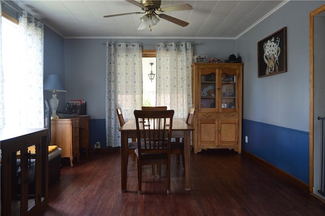 dining space featuring dark hardwood / wood-style floors, ceiling fan, and ornamental molding