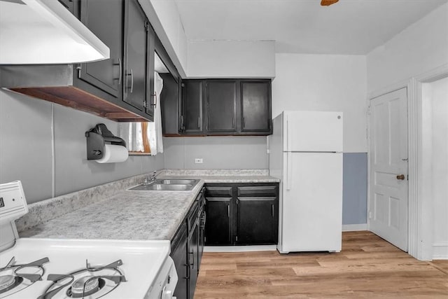 kitchen featuring sink, white appliances, ventilation hood, and light hardwood / wood-style floors