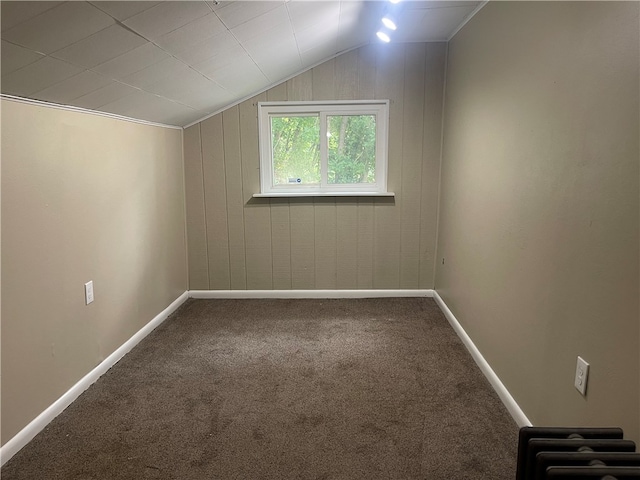 additional living space with carpet and lofted ceiling