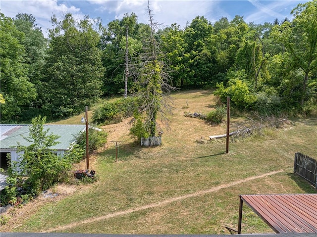 1120 Henderson Ave, Canton Twp, PA 15301 - view of yard