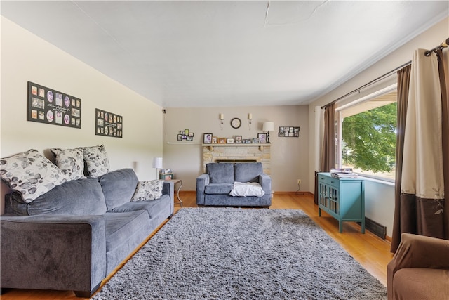 living room with a stone fireplace and wood-type flooring