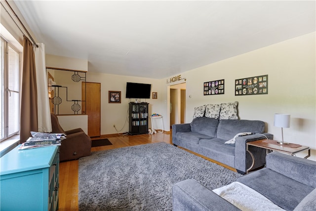 living room with wood-type flooring