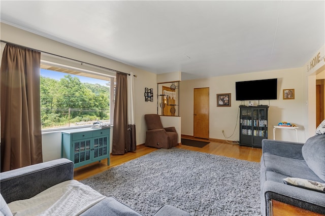 living room featuring wood-type flooring