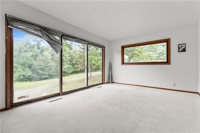 carpeted spare room with plenty of natural light