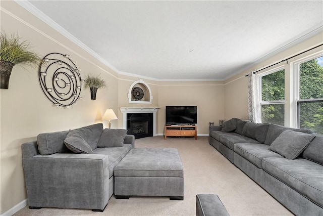 living room featuring ornamental molding and carpet