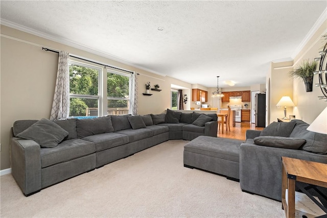 carpeted living room with ornamental molding and a textured ceiling