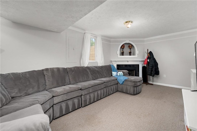 carpeted living room with ornamental molding and a textured ceiling