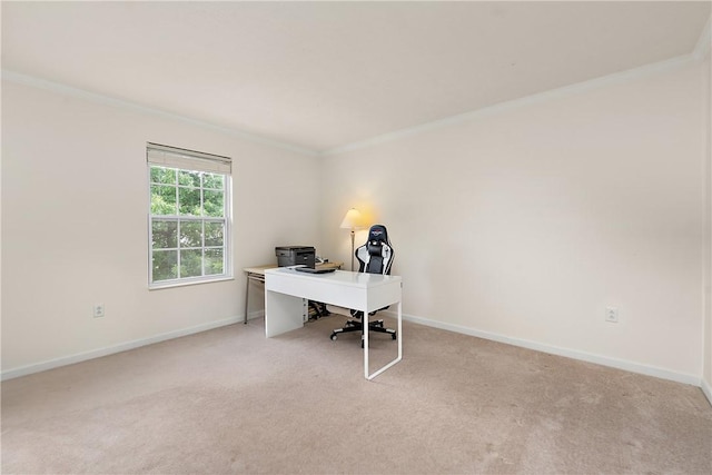 carpeted office featuring ornamental molding