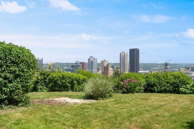 view of property's community featuring a yard