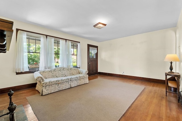 living room with hardwood / wood-style floors