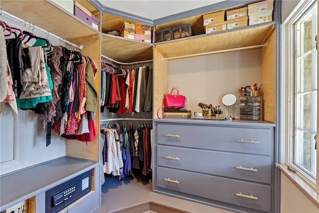 view of spacious closet