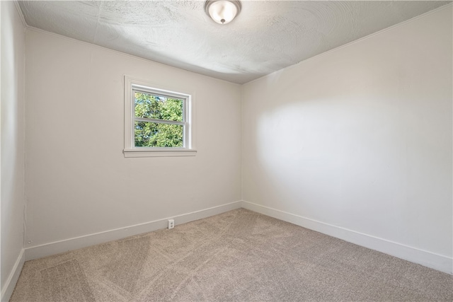 empty room featuring light colored carpet and a textured ceiling