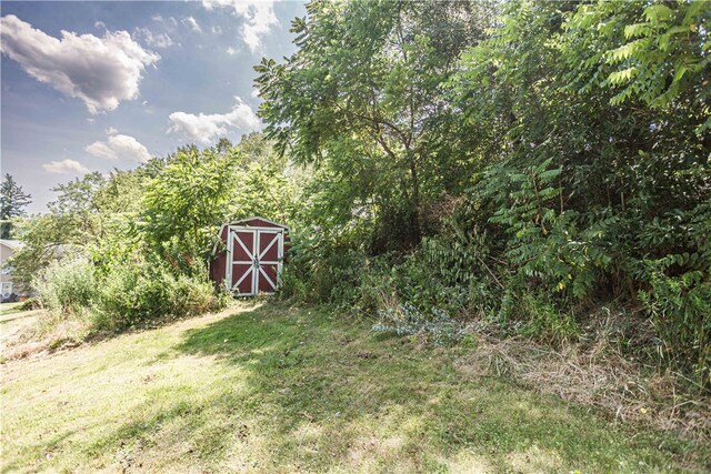 view of yard with a shed