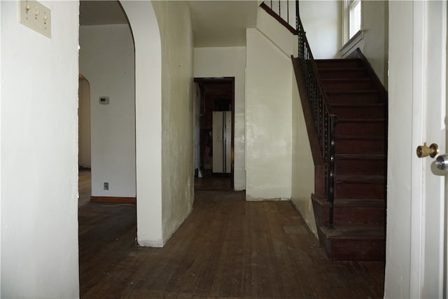 stairs featuring hardwood / wood-style flooring