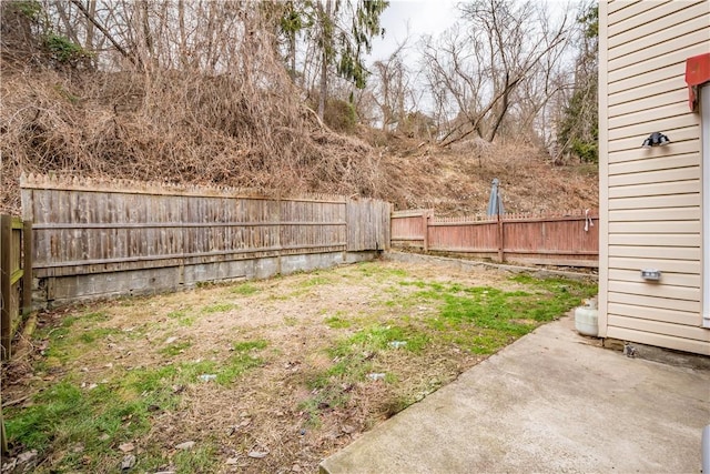 view of yard featuring a fenced backyard