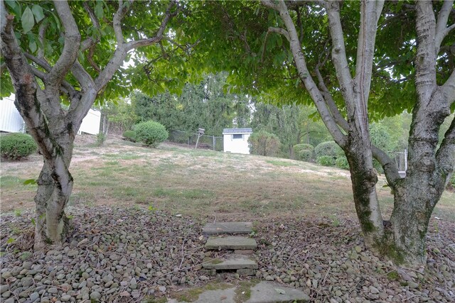 view of yard featuring a shed