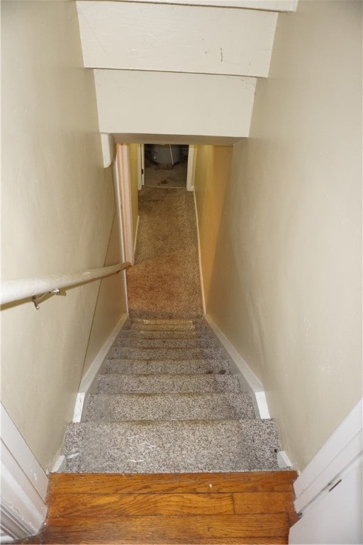 staircase with carpet floors