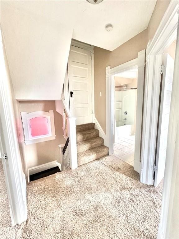 stairway with carpet floors