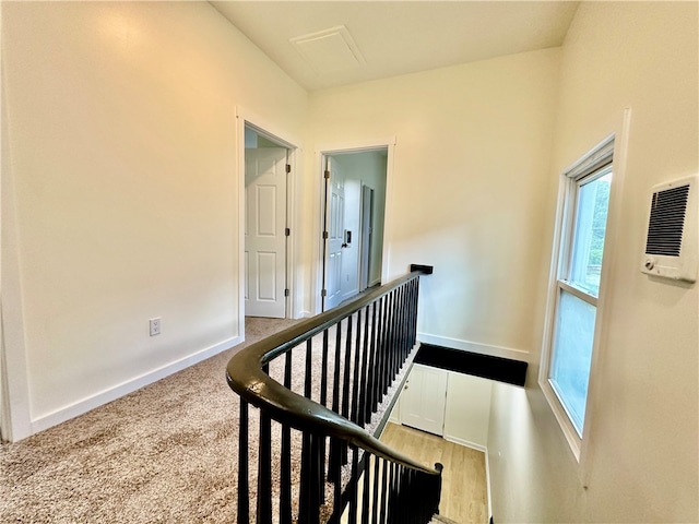 stairs featuring carpet flooring