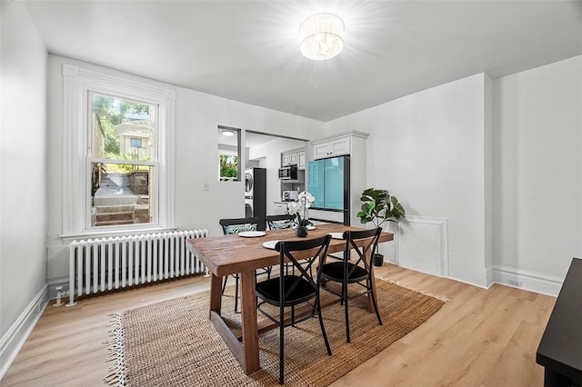 dining room with radiator heating unit and light hardwood / wood-style flooring