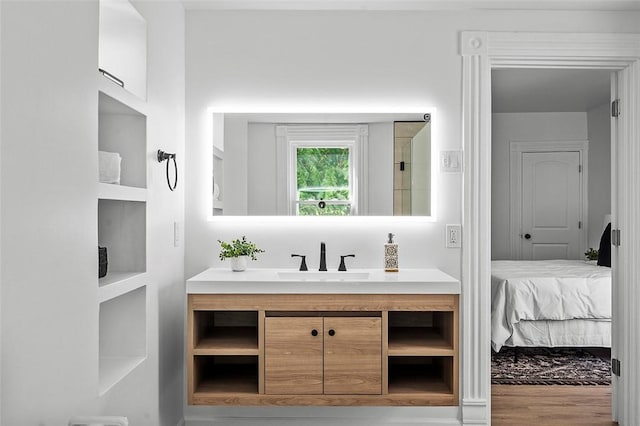 bathroom featuring wood-type flooring and vanity