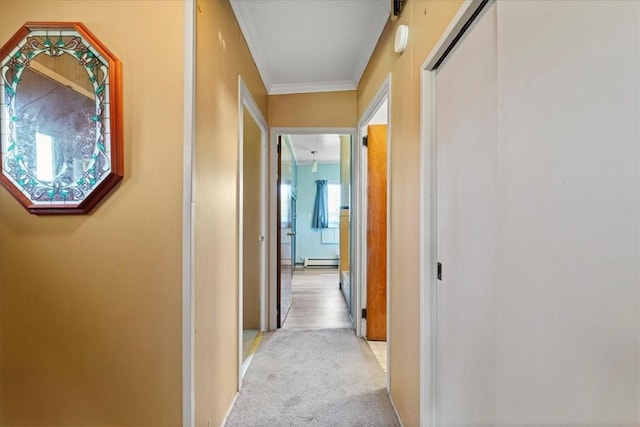 hallway with crown molding and light carpet