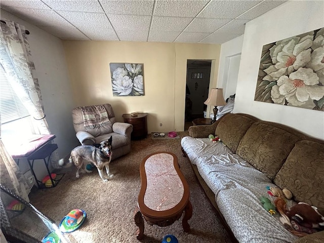 living room with carpet flooring and a paneled ceiling