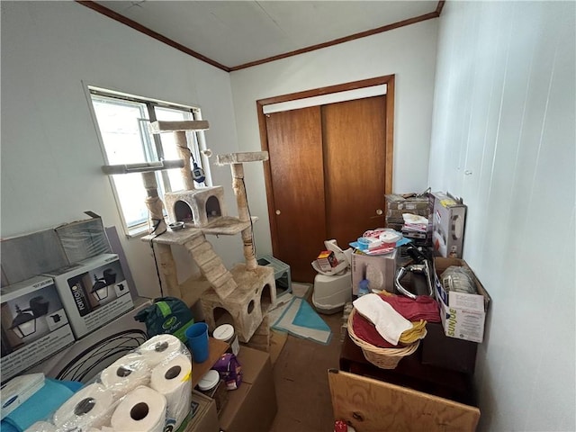 misc room featuring ornamental molding