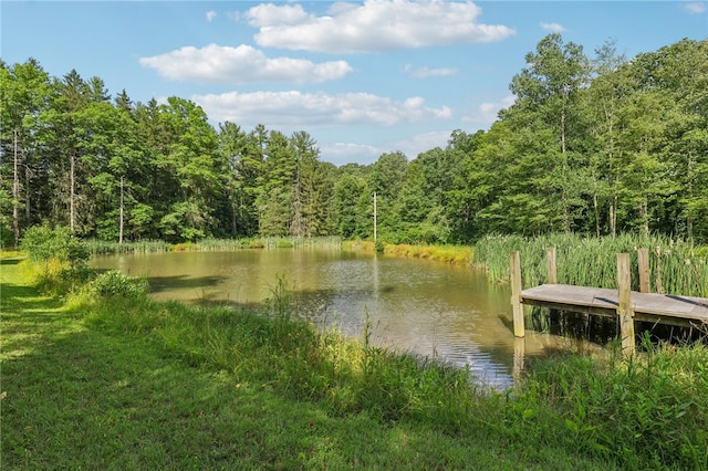 view of water feature