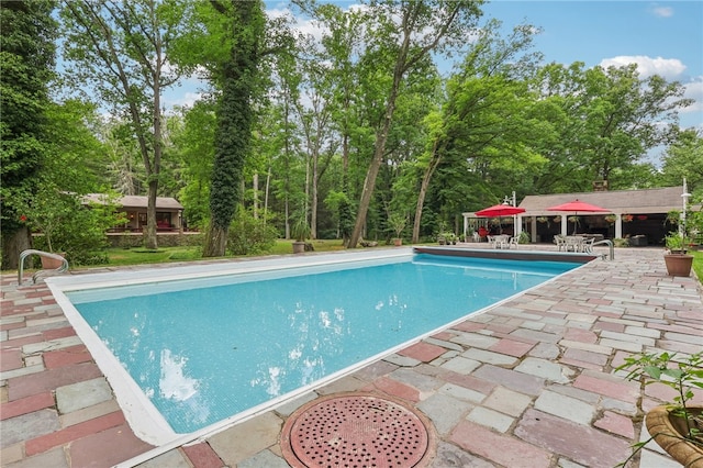 view of swimming pool featuring a patio area