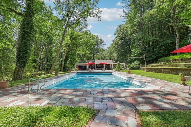 view of pool featuring a patio area