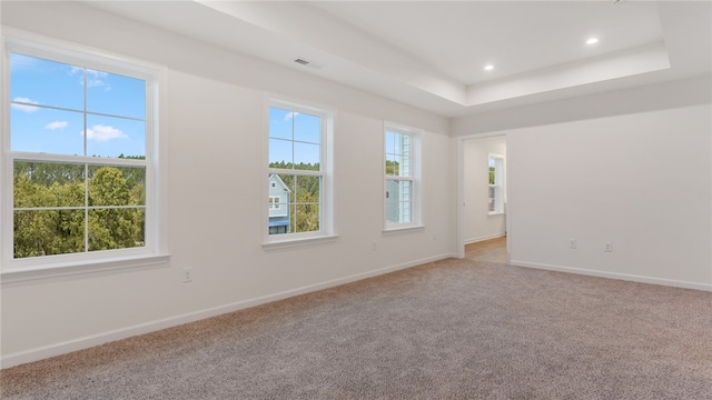 spare room featuring a raised ceiling, light carpet, and a wealth of natural light