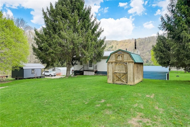 view of yard with a storage shed