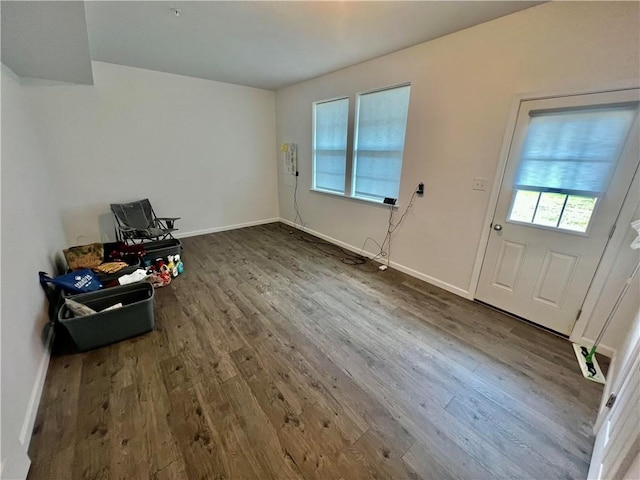 entrance foyer with dark wood-type flooring