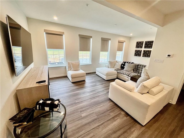 living room with wood-type flooring