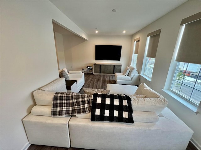 living room featuring dark hardwood / wood-style flooring