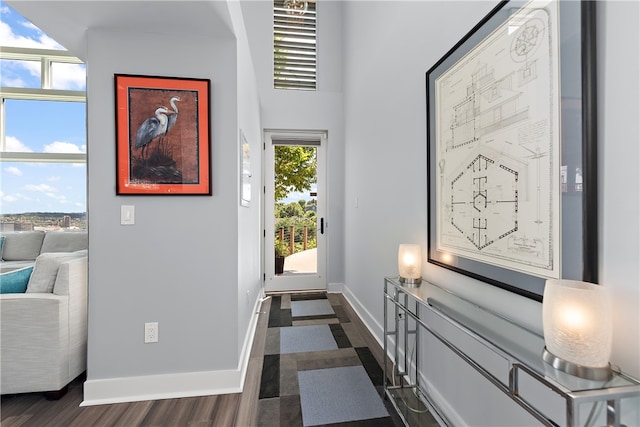 entryway featuring dark wood-type flooring