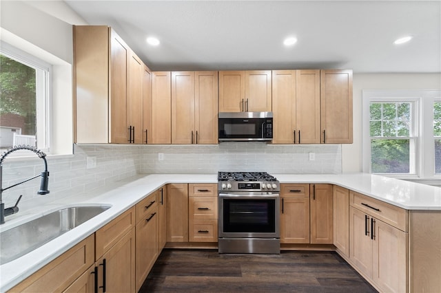 kitchen featuring sink, dark hardwood / wood-style flooring, a wealth of natural light, and stainless steel appliances