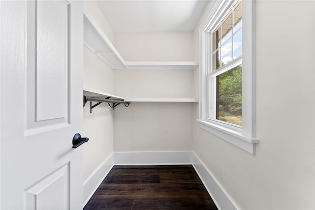 interior space featuring dark hardwood / wood-style floors